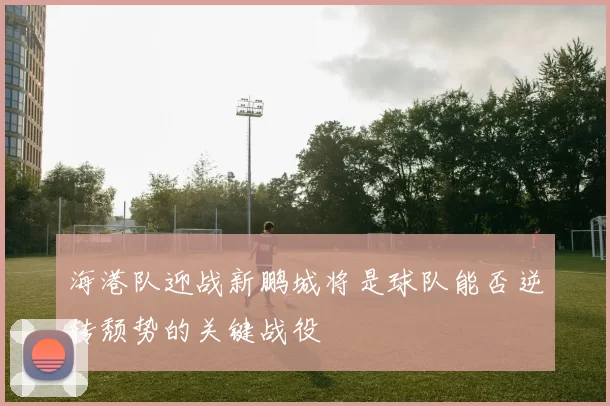 海港队迎战新鹏城将是球队能否逆转颓势的关键战役