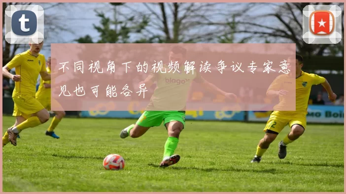 不同视角下的视频解读争议专家意见也可能各异